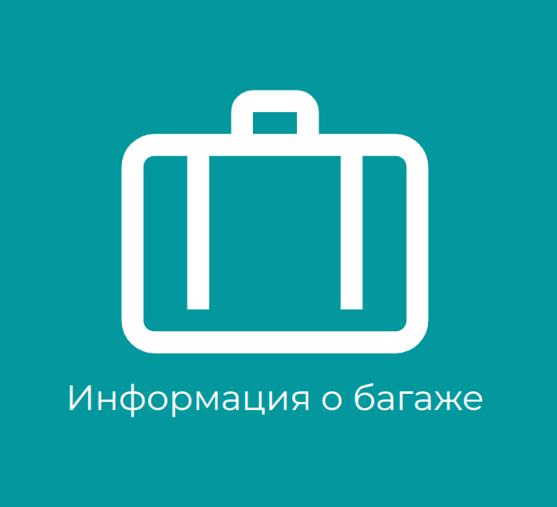 Правила оплаты и провоза багажа